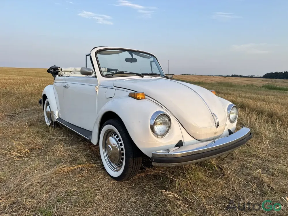  Beetle (Type 1)