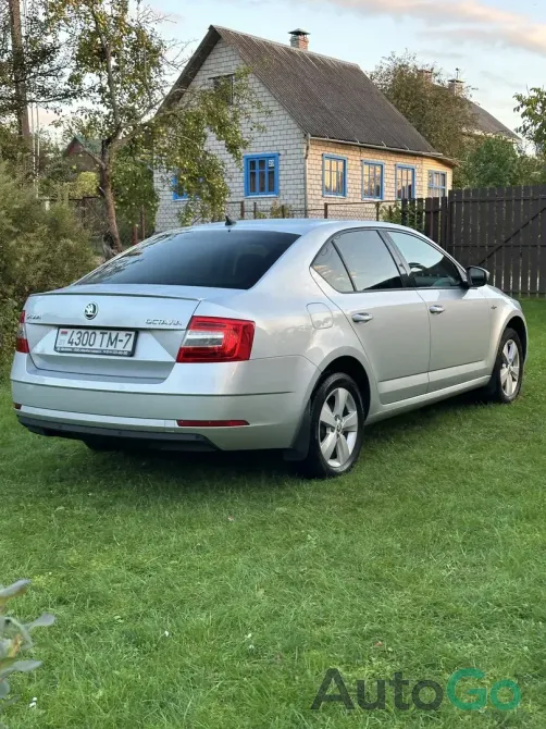 Продажа Skoda Octavia III (A7) Рестайлинг, 2019г., Минск Минск - изображение 2