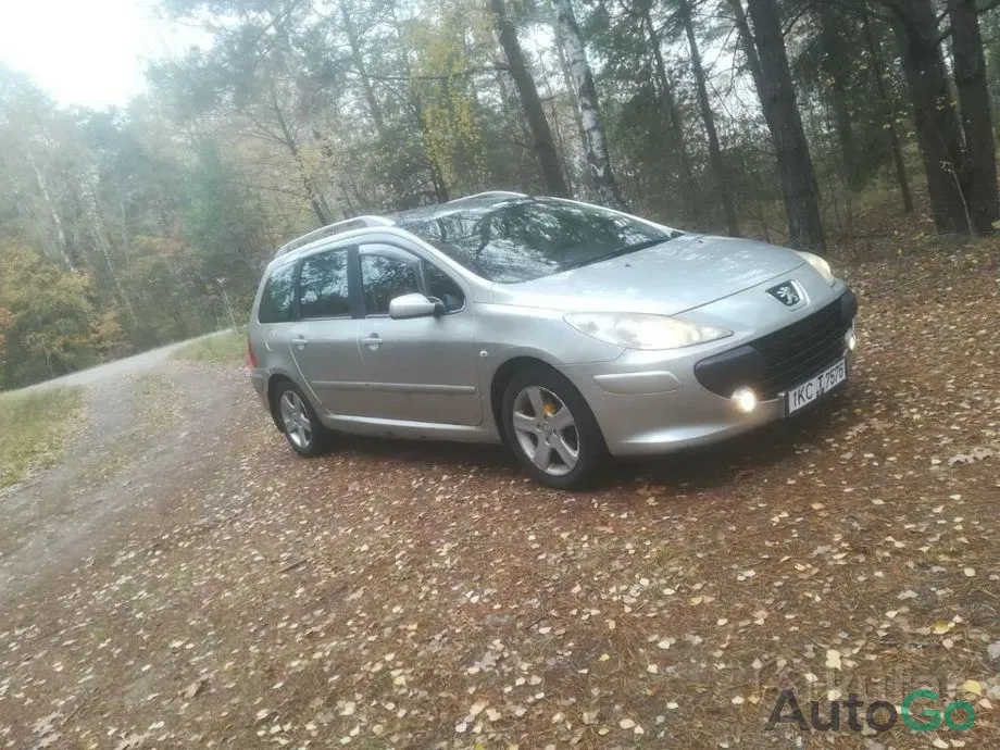 Продажа Peugeot 307 I Рестайлинг, 2007 г., Малорита Малорита - изображение 1