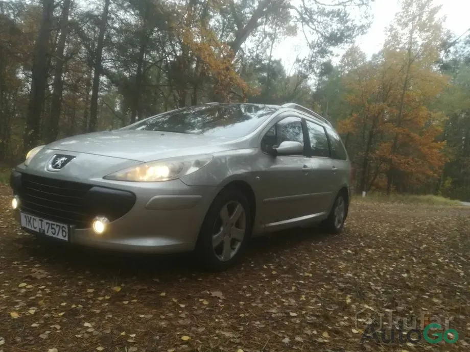 Продажа Peugeot 307 I Рестайлинг, 2007 г., Малорита Малорита - изображение 12