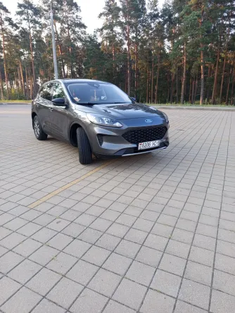 Продажа Ford Escape III Рестайлинг, 2019г., Борисов Борисов