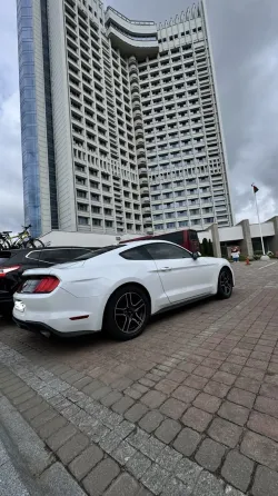 Продажа Ford Mustang VI Рестайлинг, 2019г., Минск Минск