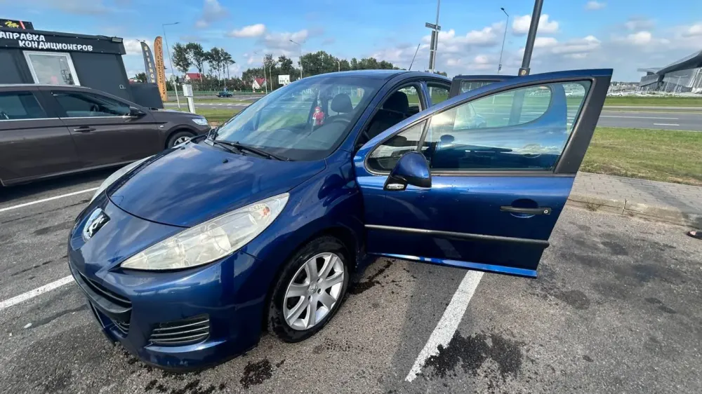 Продажа Peugeot 207 I Рестайлинг, 2009г., Минск Минск - изображение 2